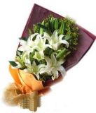 ϰʻٵ